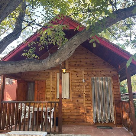 Cabanas De Nerpio Zewnętrze zdjęcie